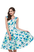 Vintage Flower Skater Dress